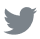 VotoCatolico Twitter Icon